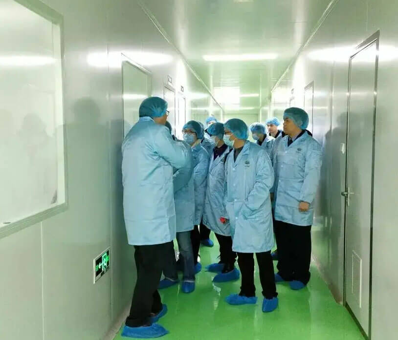 十万级洁净厂房施工