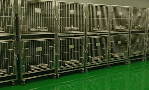 昆山动物房实验室装修